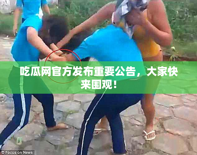 吃瓜网官方发布重要公告，大家快来围观！