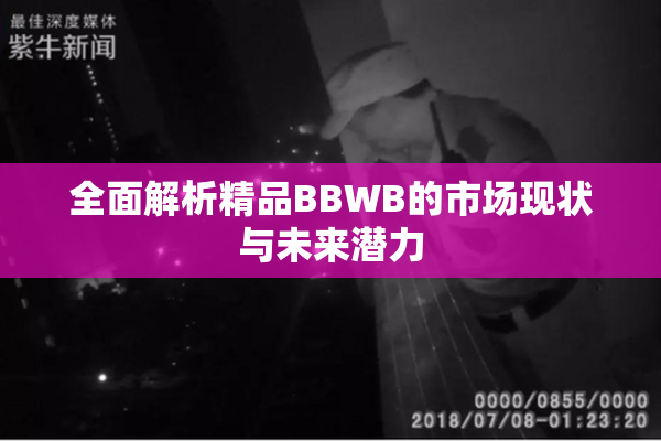 全面解析精品BBWB的市场现状与未来潜力