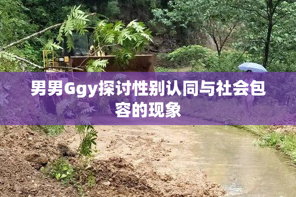 男男Ggy探讨性别认同与社会包容的现象