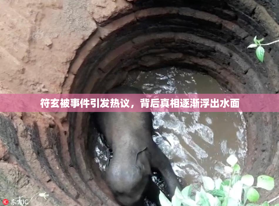 符玄被事件引发热议，背后真相逐渐浮出水面