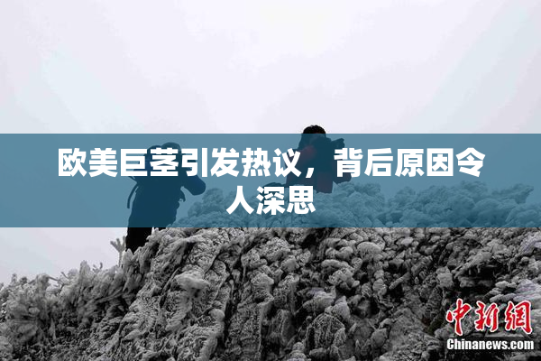 欧美巨茎引发热议，背后原因令人深思
