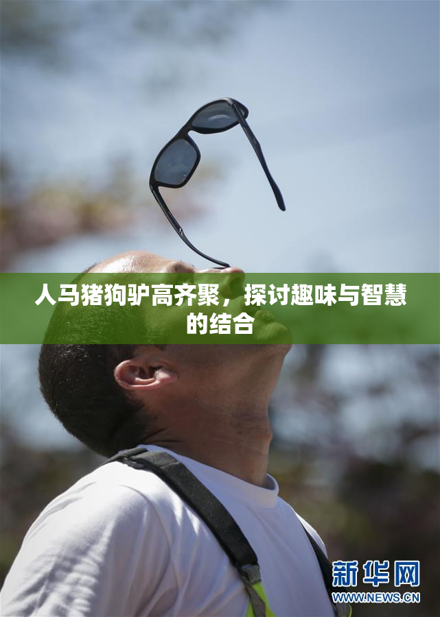 人马猪狗驴高齐聚，探讨趣味与智慧的结合