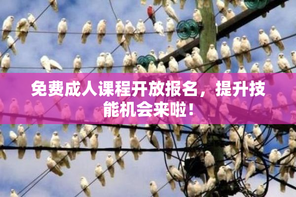 免费成人课程开放报名，提升技能机会来啦！