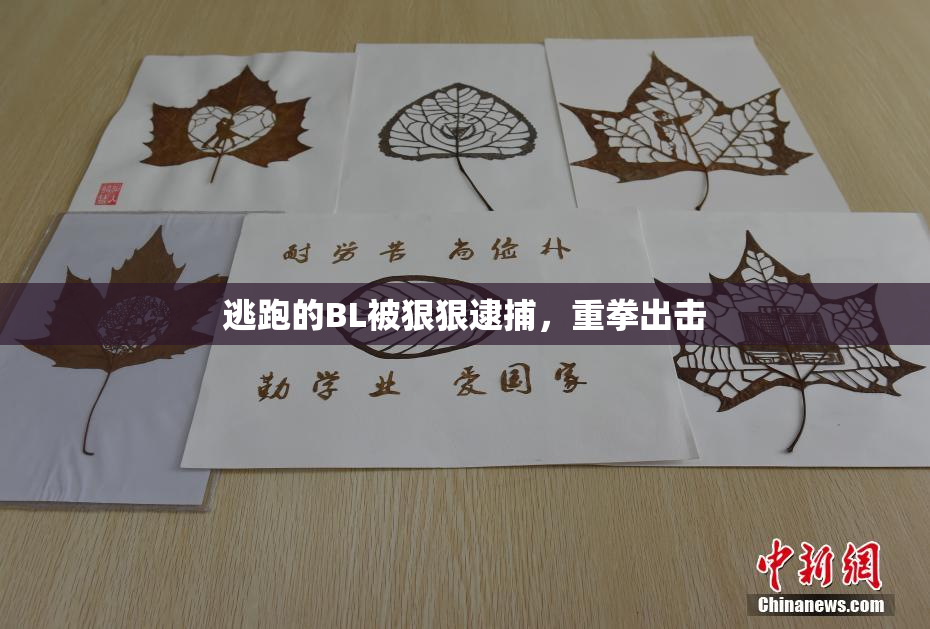 逃跑的BL被狠狠逮捕，重拳出击
