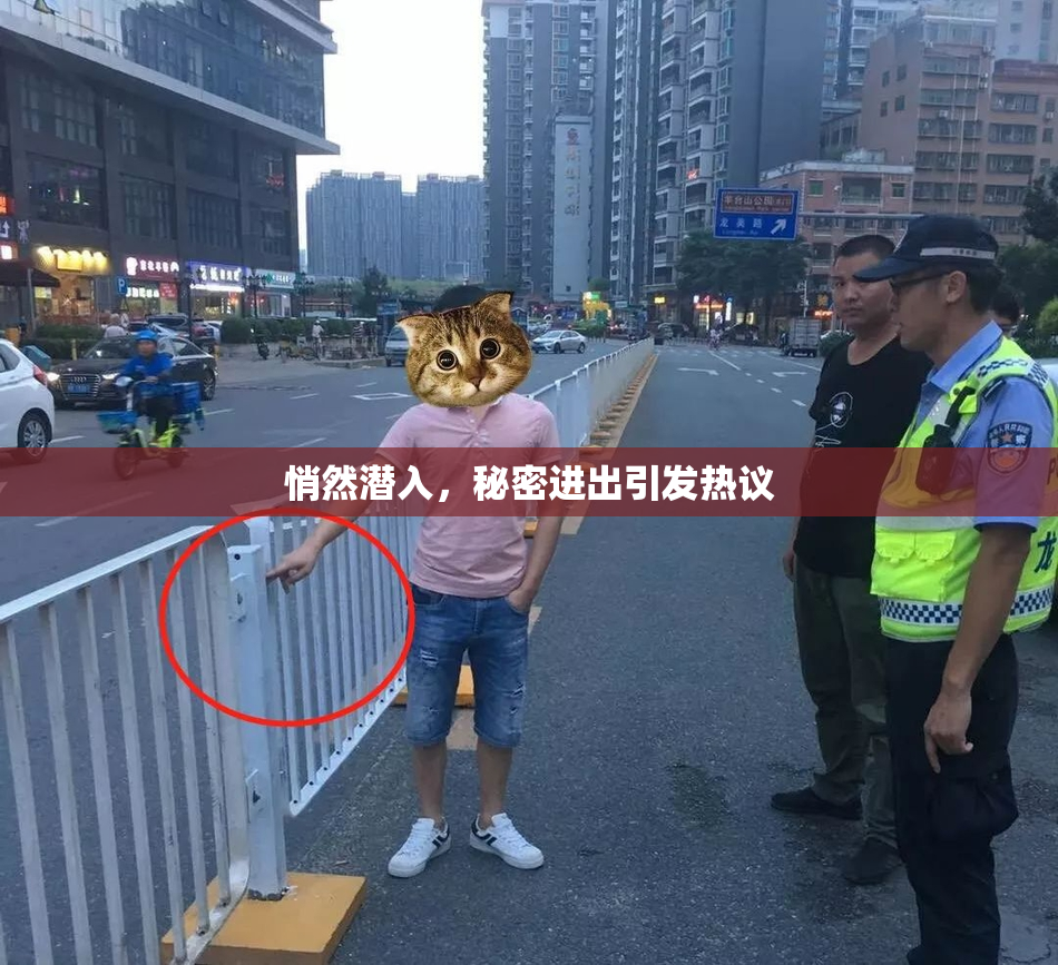 悄然潜入，秘密进出引发热议