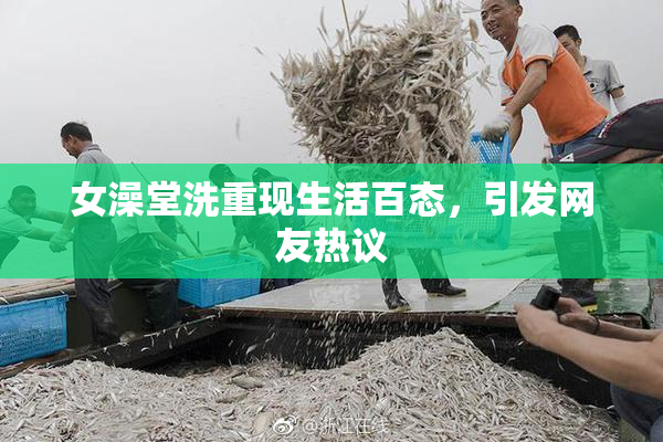 女澡堂洗重现生活百态，引发网友热议