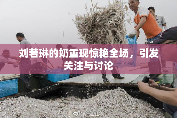 刘若琳的奶重现惊艳全场，引发关注与讨论