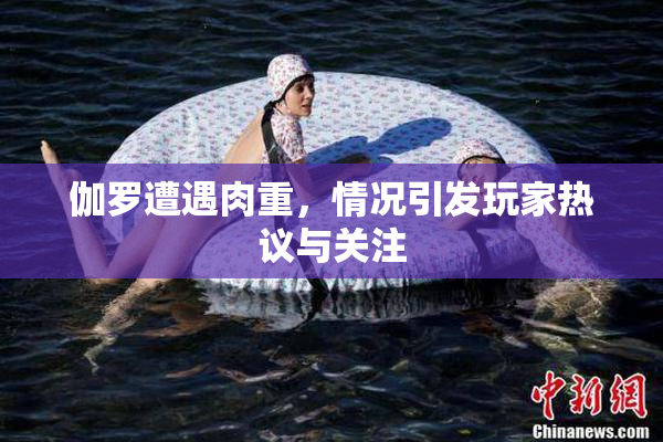 伽罗遭遇肉重，情况引发玩家热议与关注