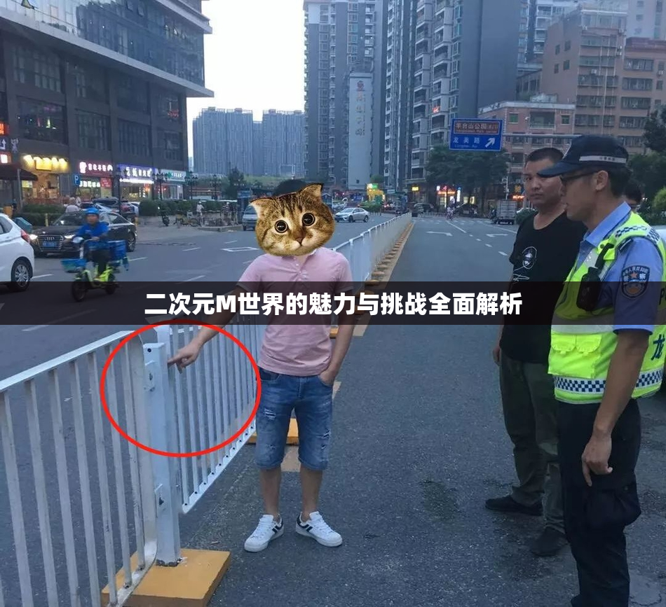 二次元M世界的魅力与挑战全面解析