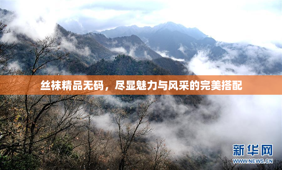 丝袜精品无码，尽显魅力与风采的完美搭配