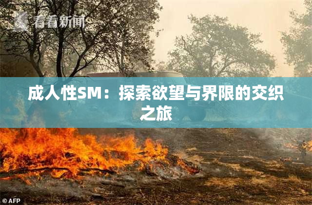 成人性SM：探索欲望与界限的交织之旅