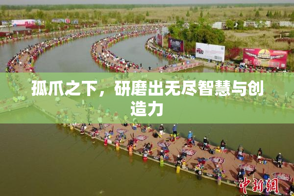 孤爪之下，研磨出无尽智慧与创造力