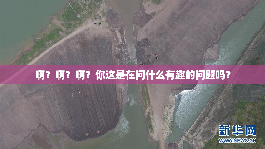 啊？啊？啊？你这是在问什么有趣的问题吗？