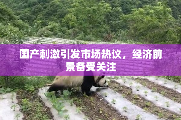 国产刺激引发市场热议，经济前景备受关注