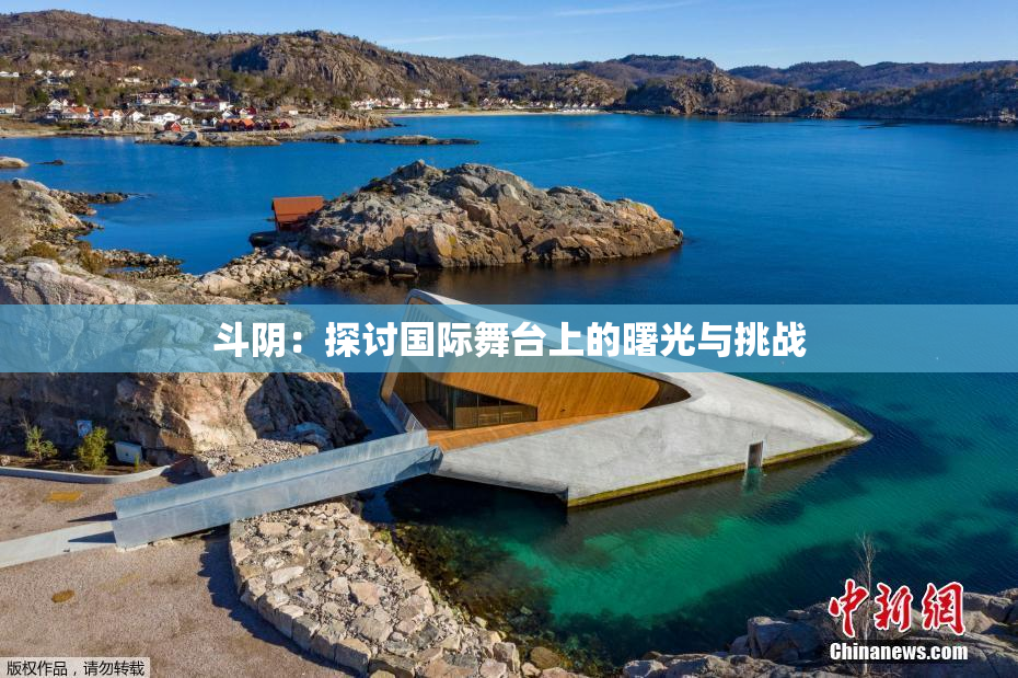 斗阴：探讨国际舞台上的曙光与挑战