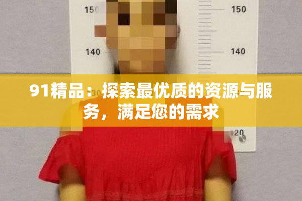 91精品：探索最优质的资源与服务，满足您的需求