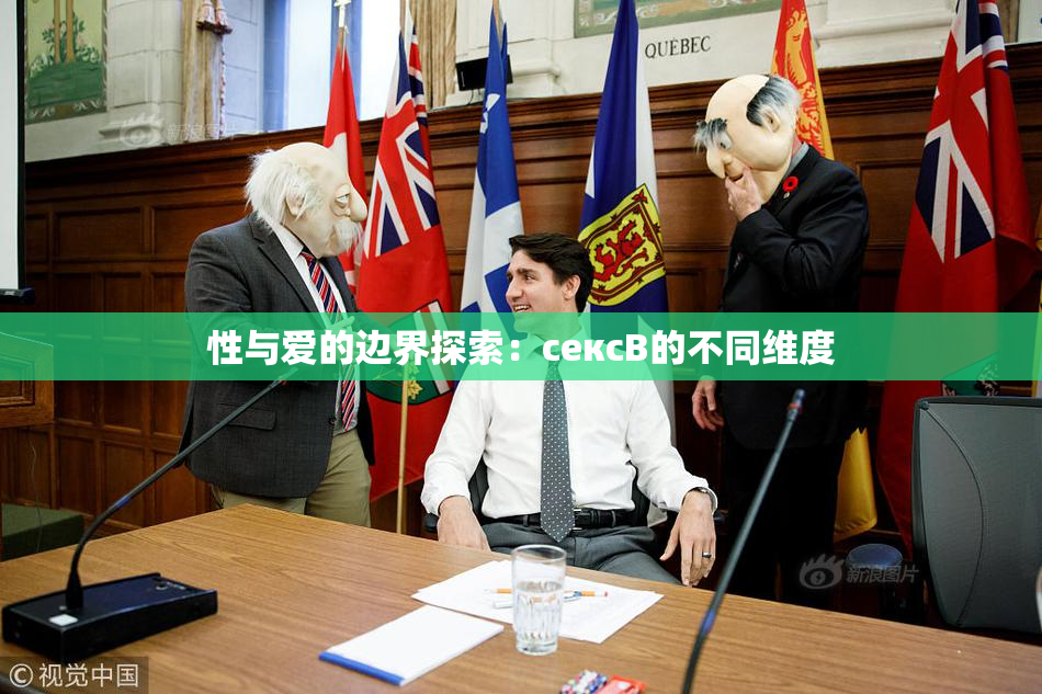 性与爱的边界探索：сексB的不同维度