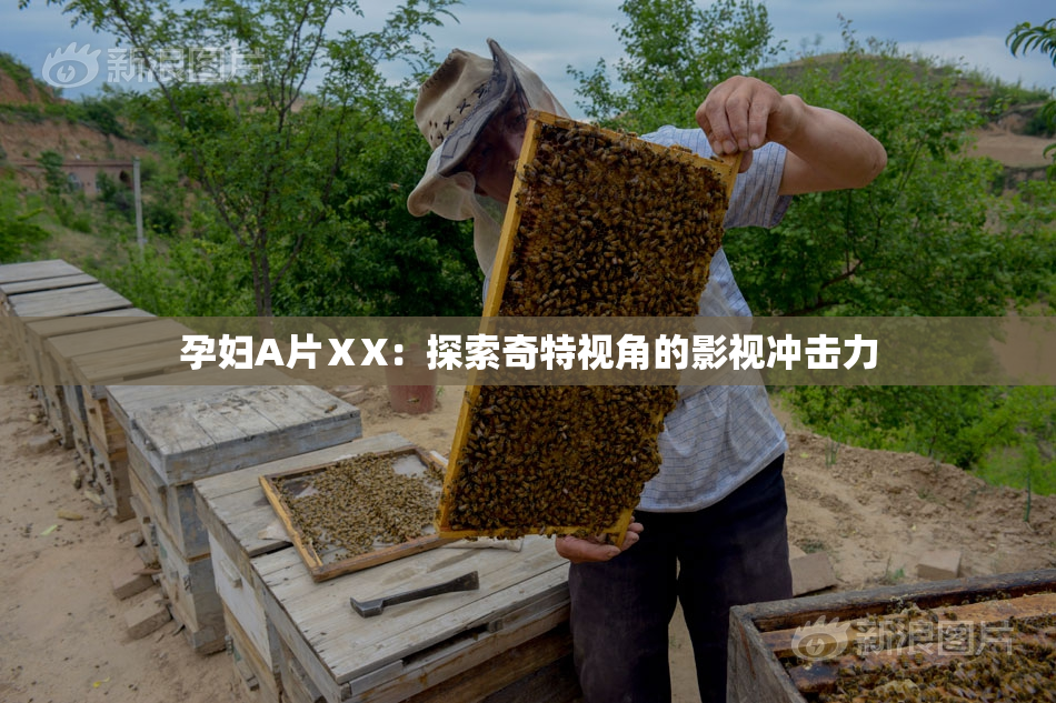 孕妇A片ⅩX：探索奇特视角的影视冲击力
