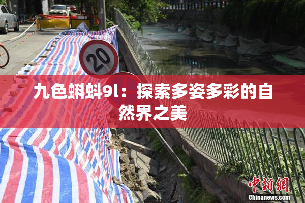 九色蝌蚪9l：探索多姿多彩的自然界之美