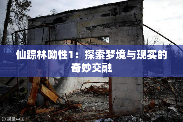 仙踪林呦性1：探索梦境与现实的奇妙交融
