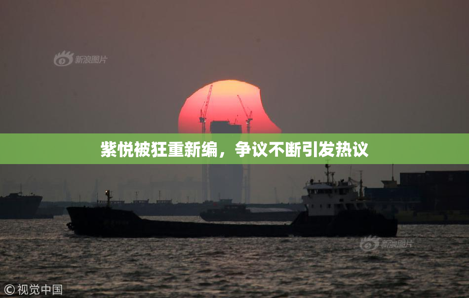 紫悦被狂重新编，争议不断引发热议