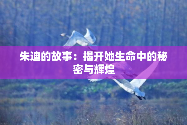 朱迪的故事：揭开她生命中的秘密与辉煌