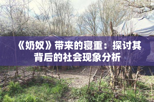 《奶奴》带来的寝重：探讨其背后的社会现象分析