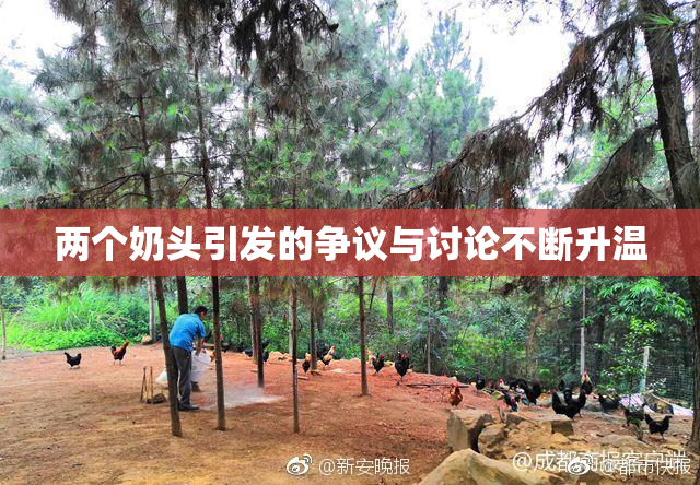 两个奶头引发的争议与讨论不断升温
