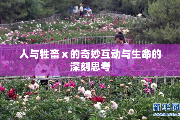 人与牲畜ⅹ的奇妙互动与生命的深刻思考