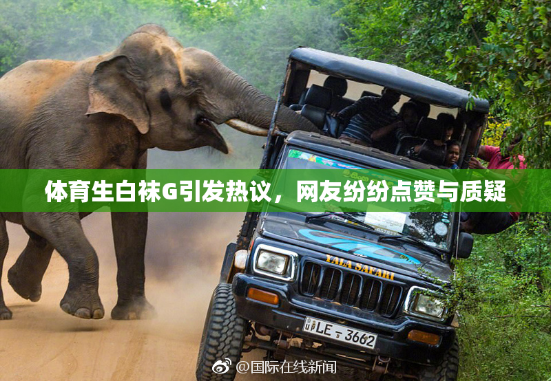 体育生白袜G引发热议，网友纷纷点赞与质疑