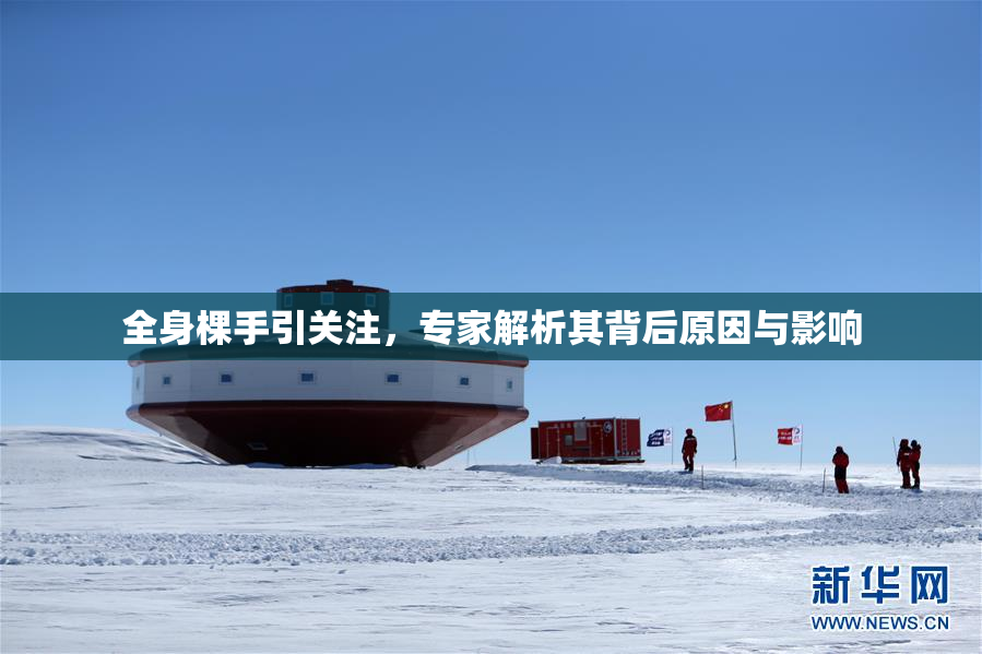 全身棵手引关注，专家解析其背后原因与影响