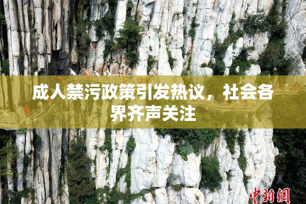 成人禁污政策引发热议，社会各界齐声关注