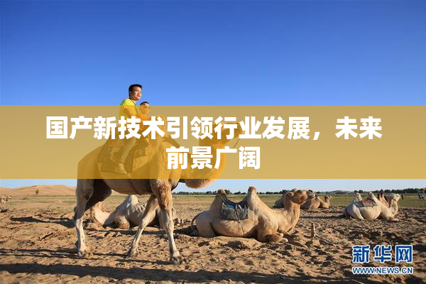 国产新技术引领行业发展，未来前景广阔