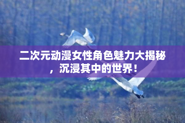 二次元动漫女性角色魅力大揭秘，沉浸其中的世界！