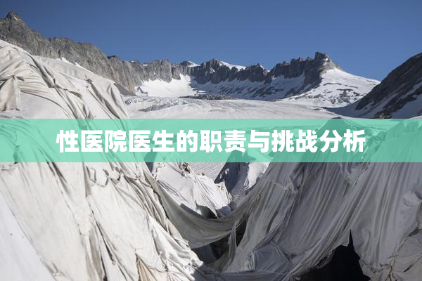 性医院医生的职责与挑战分析