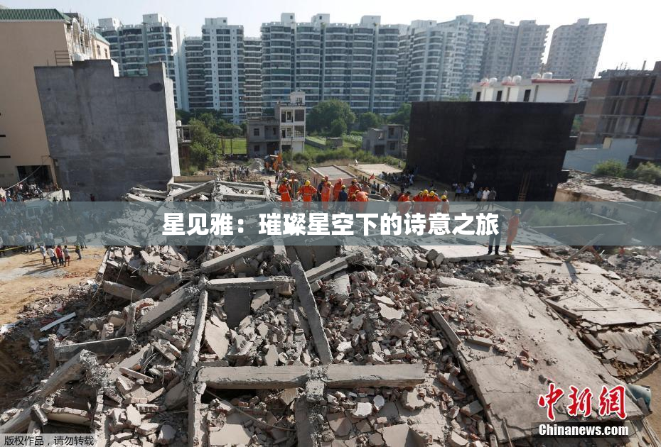 星见雅：璀璨星空下的诗意之旅