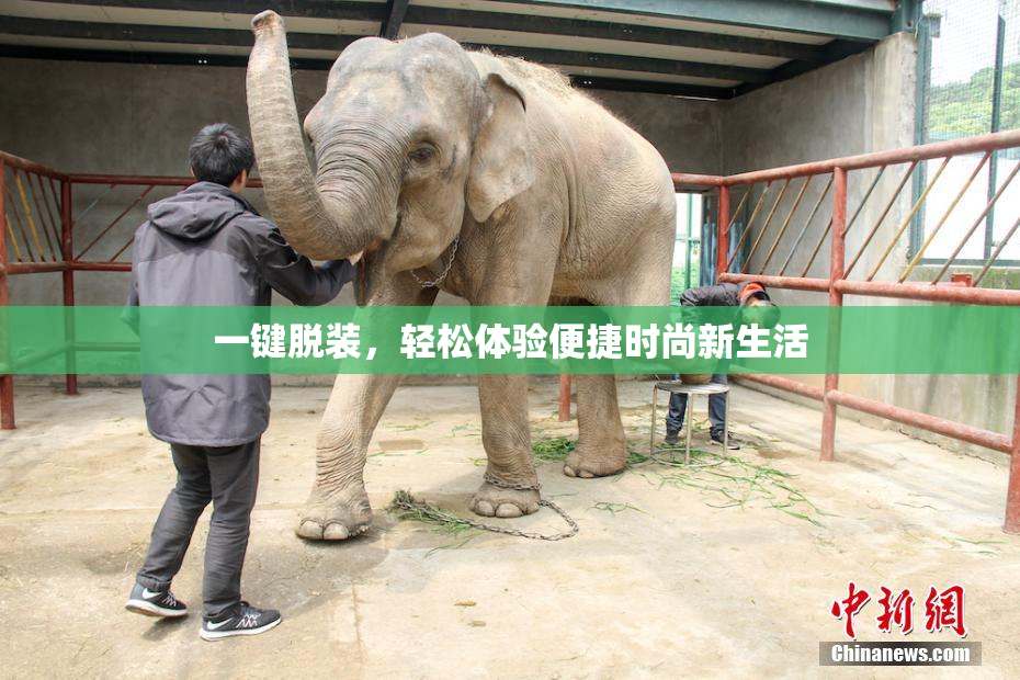 一键脱装，轻松体验便捷时尚新生活