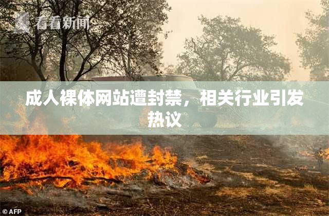 成人裸体网站遭封禁，相关行业引发热议