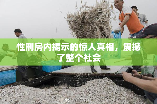 性刑房内揭示的惊人真相，震撼了整个社会