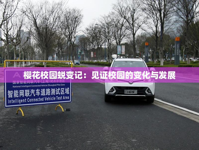 樱花校园蜕变记：见证校园的变化与发展