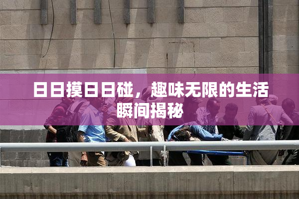 日日摸日日碰，趣味无限的生活瞬间揭秘