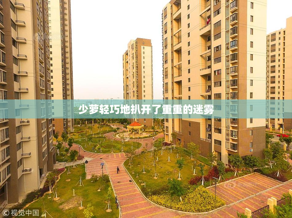 少萝轻巧地扒开了重重的迷雾