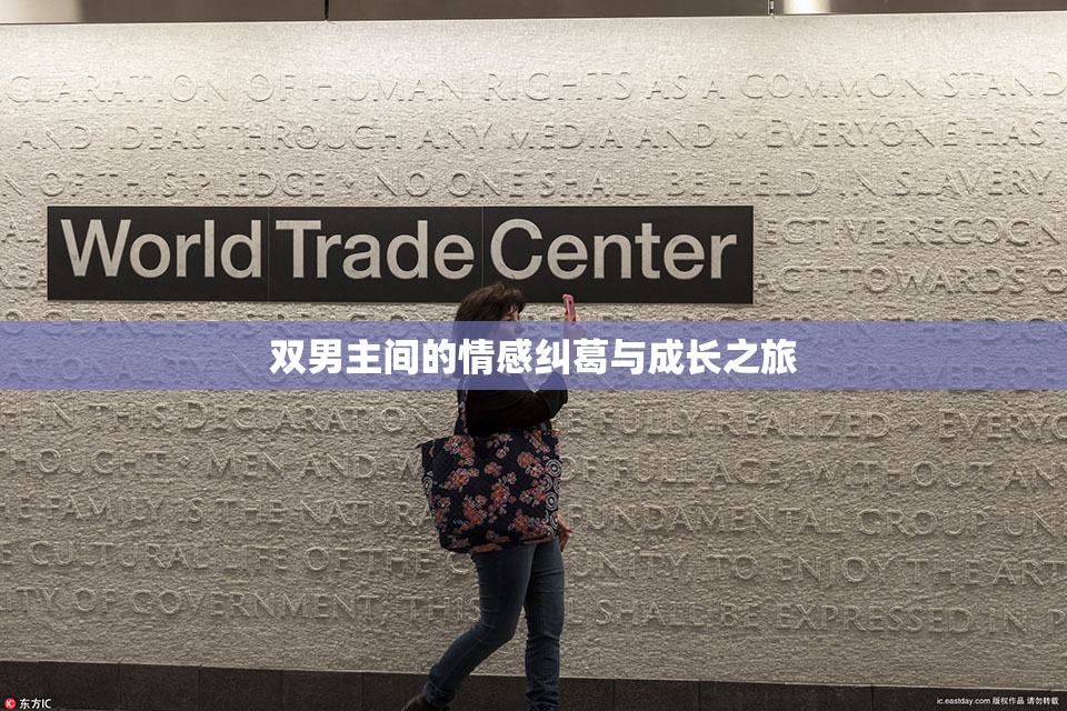 双男主间的情感纠葛与成长之旅