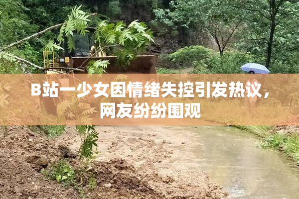 B站一少女因情绪失控引发热议，网友纷纷围观
