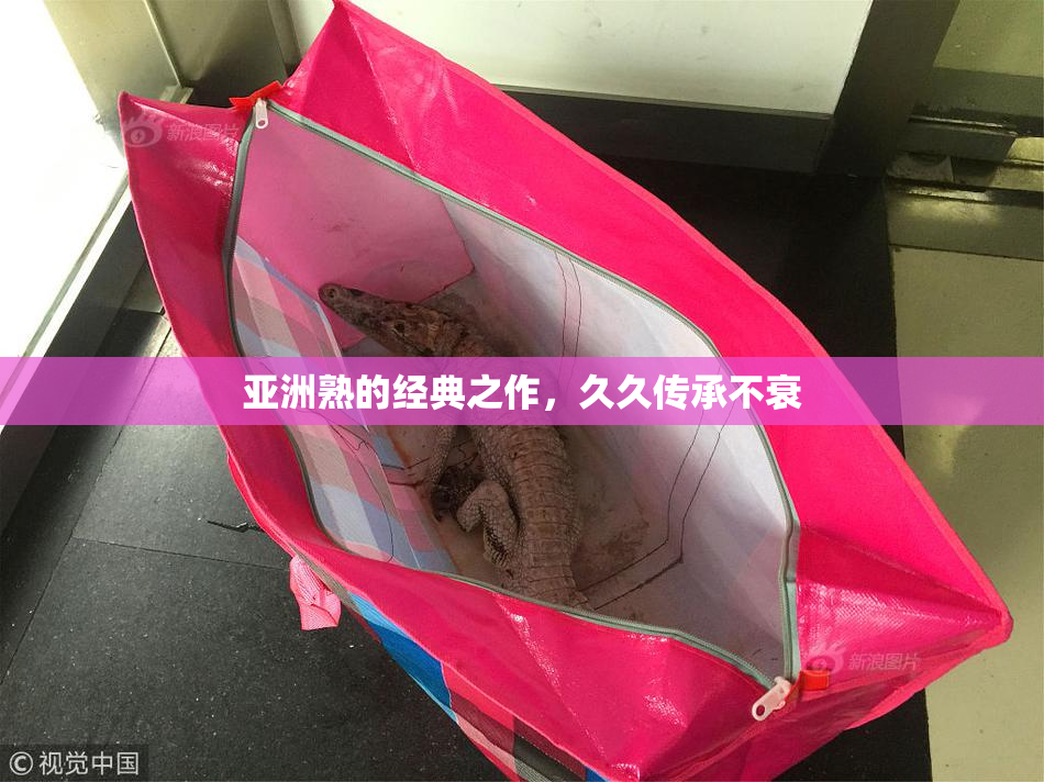 亚洲熟的经典之作，久久传承不衰