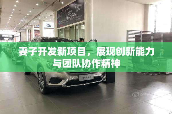 妻子开发新项目，展现创新能力与团队协作精神