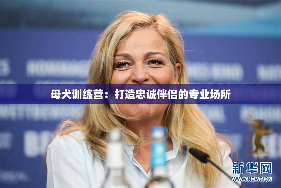 母犬训练营：打造忠诚伴侣的专业场所