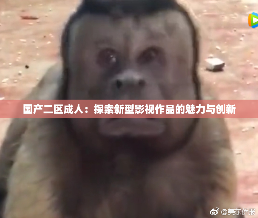 国产二区成人：探索新型影视作品的魅力与创新