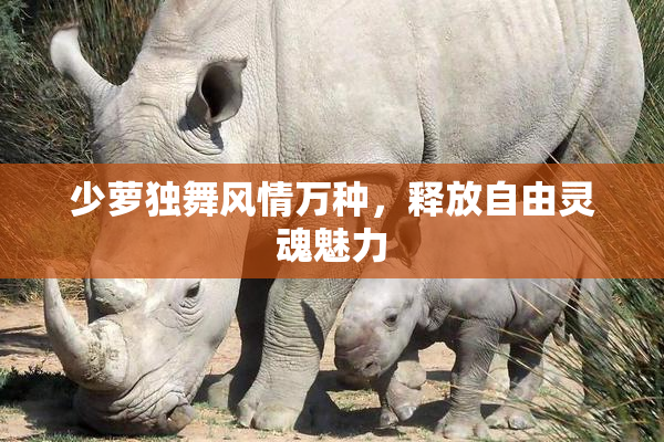 少萝独舞风情万种，释放自由灵魂魅力