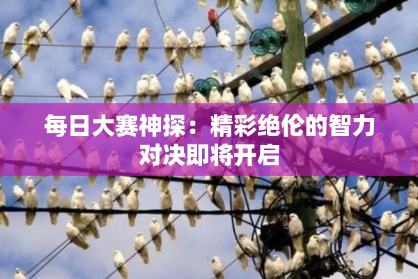 每日大赛神探：精彩绝伦的智力对决即将开启